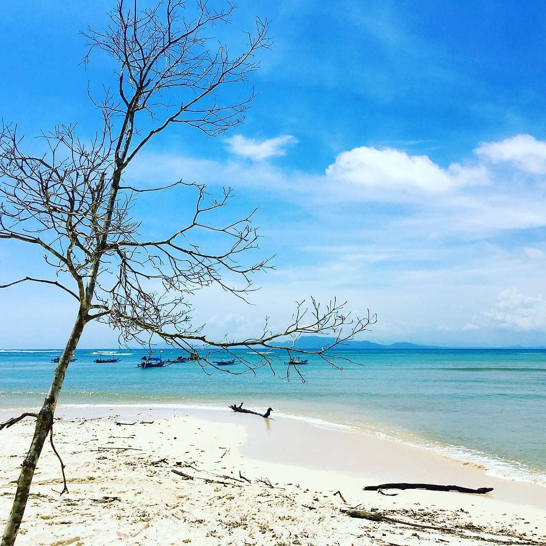 Kegiatan Apa yang Bisa Dilakukan di Pantai Plengkung Kegiatan Apa yang Bisa Dilakukan di Pantai Plengkung